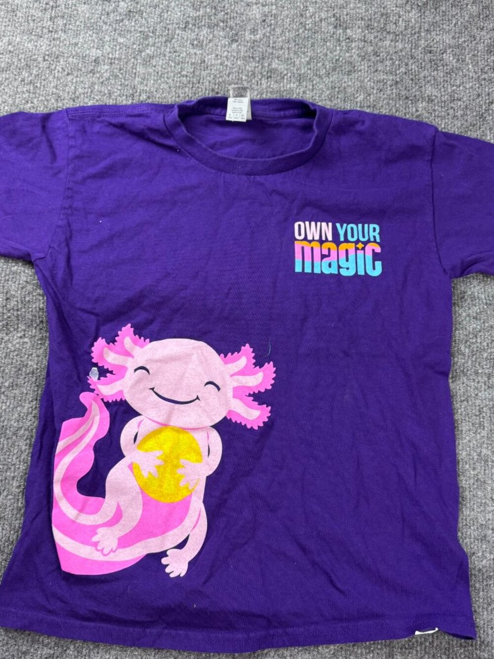 Gildan Axolotl Graphic T-Shirt Youth Small Purple Own Your Magic Short Sleeve